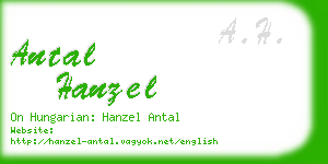 antal hanzel business card